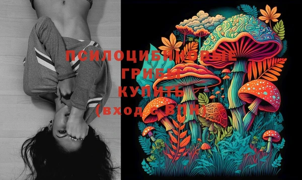 тгк Гусиноозёрск