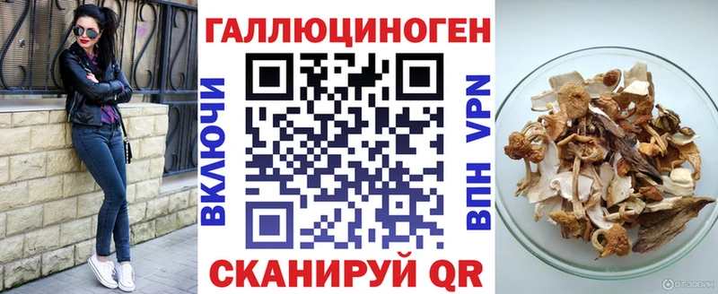 Купить закладки  Кирсанов  Псилоцибиновые грибы Psilocybe 